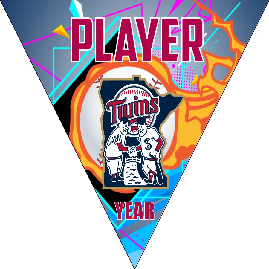 Minnesota Twins 2 Baseball Banner-design-baseball-banner-online-images