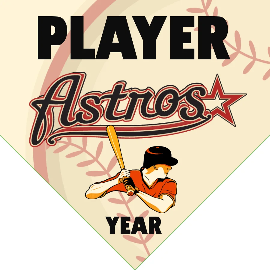 Astros Baseball Banner-routine-baseball-banners-images