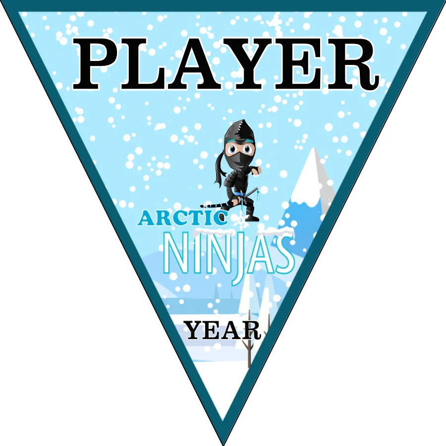 Arctic Ninjas Soccer Banner-how-to-make-a-soccer-banner-stand-picture