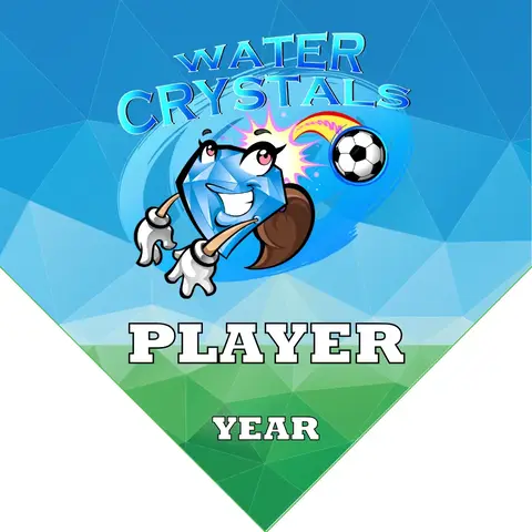 Crystals Water Soccer Banner-order-soccer-banner-picture