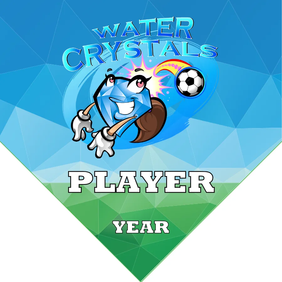 Crystals Water Soccer Banner-order-soccer-banner-picture