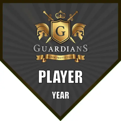 Guardians Soccer Banner-soccer-sideline-banners-picture