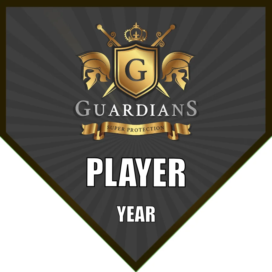 Guardians Soccer Banner-soccer-sideline-banners-picture