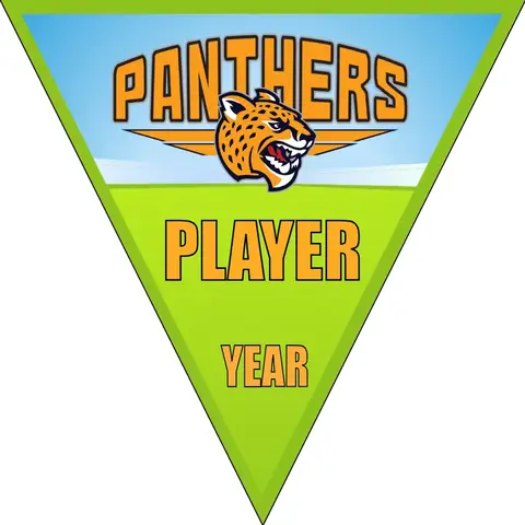 Panthers 2 Soccer Banner-soccer-team-banners-ayso-picture
