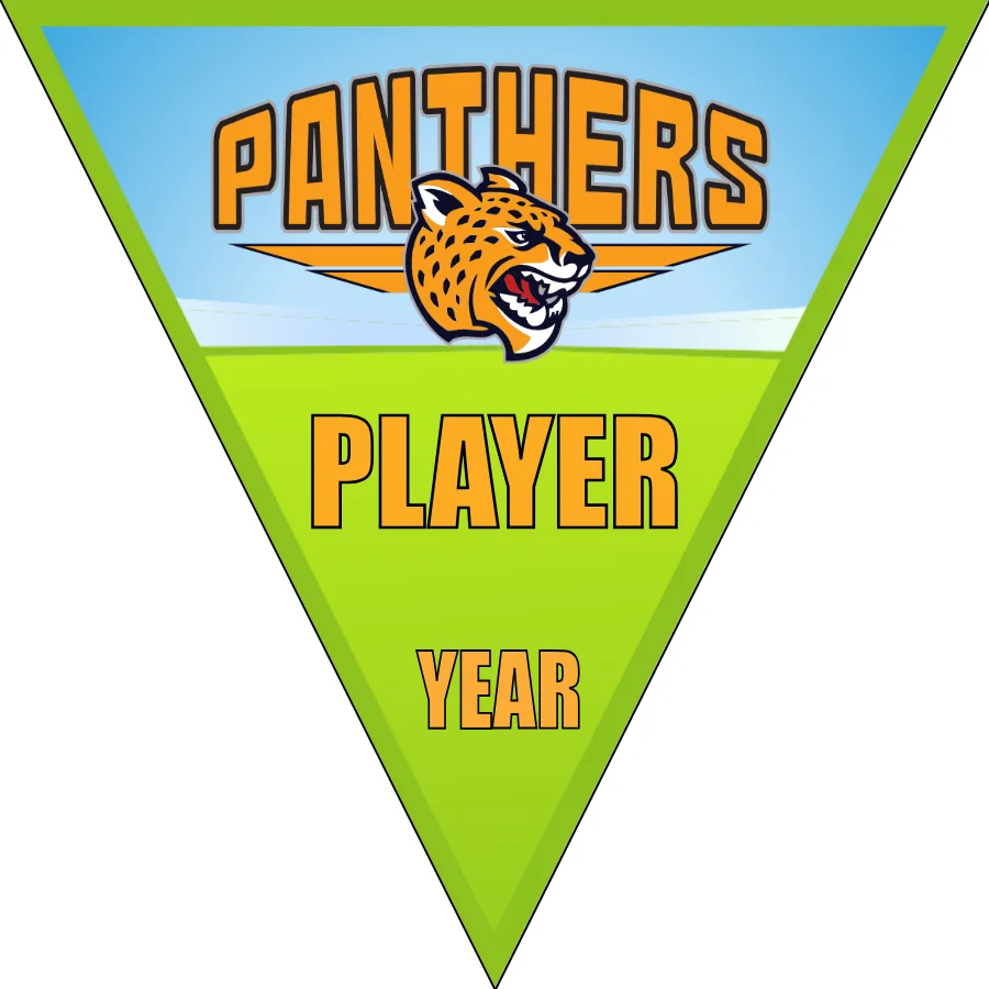 Panthers 2 Soccer Banner-soccer-team-banners-ayso-picture