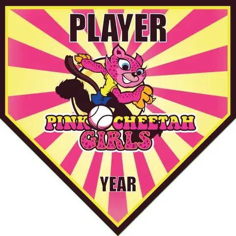 Pink Cheetah Girls-pink-blue-home-softball-banner-pictures-picture