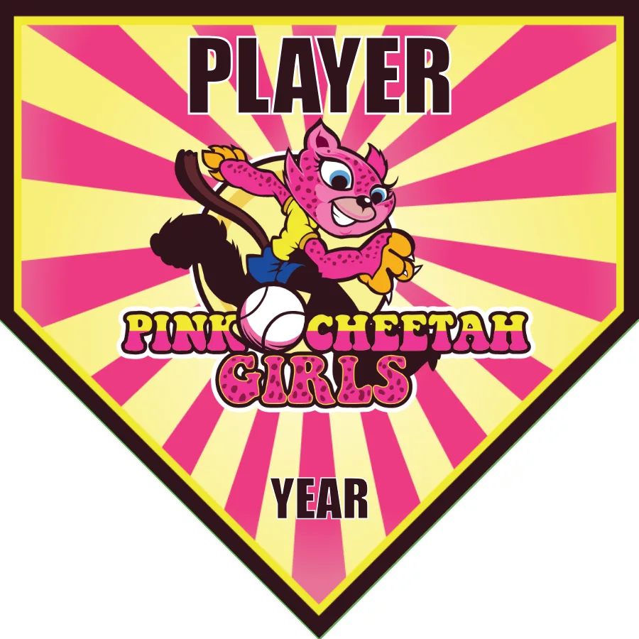 Pink Cheetah Girls-pink-blue-home-softball-banner-pictures-picture