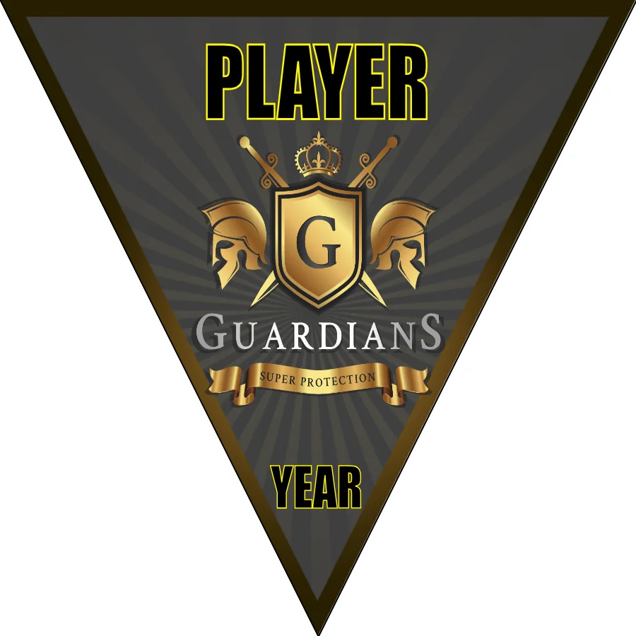 Guardians Soccer Banner-soccer-ball-banner-picture