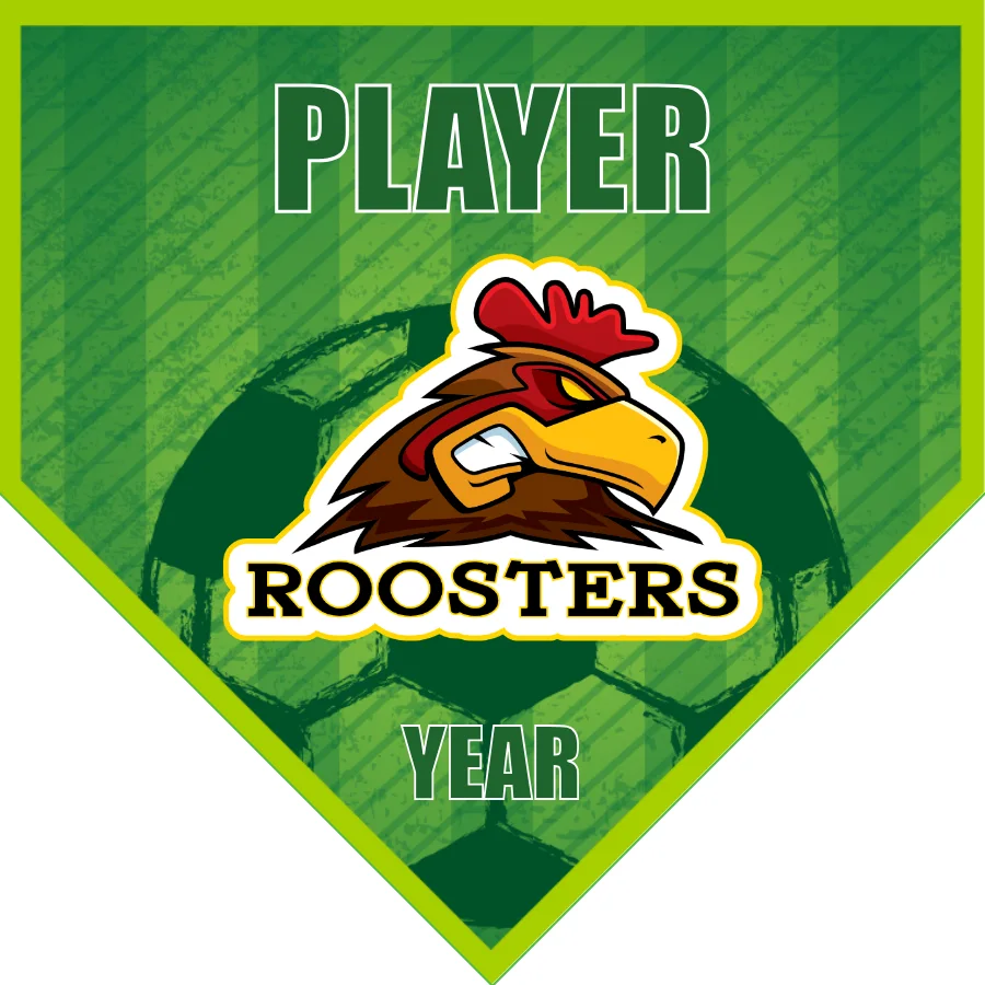 Rooster 1 Soccer Banner-soccer-team-banner-picture