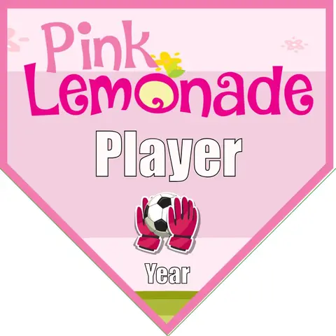 Pink Lemonade  Soccer Banner-soccer-team-banner-ideas-picture