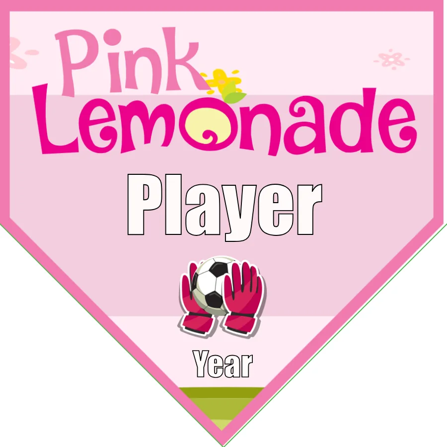 Pink Lemonade  Soccer Banner-soccer-team-banner-ideas-picture