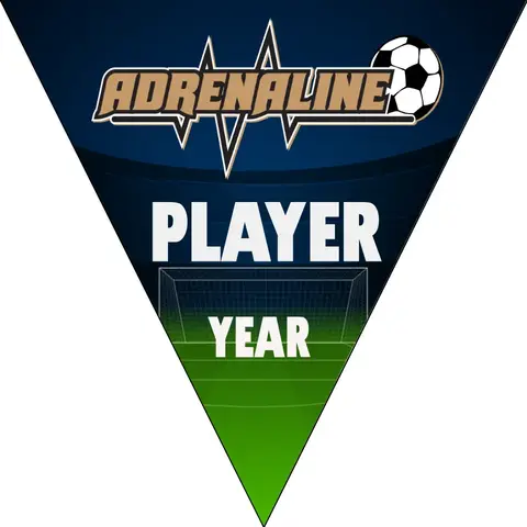 Adrenaline Soccer Banner-soccer-banners-and-flags-picture