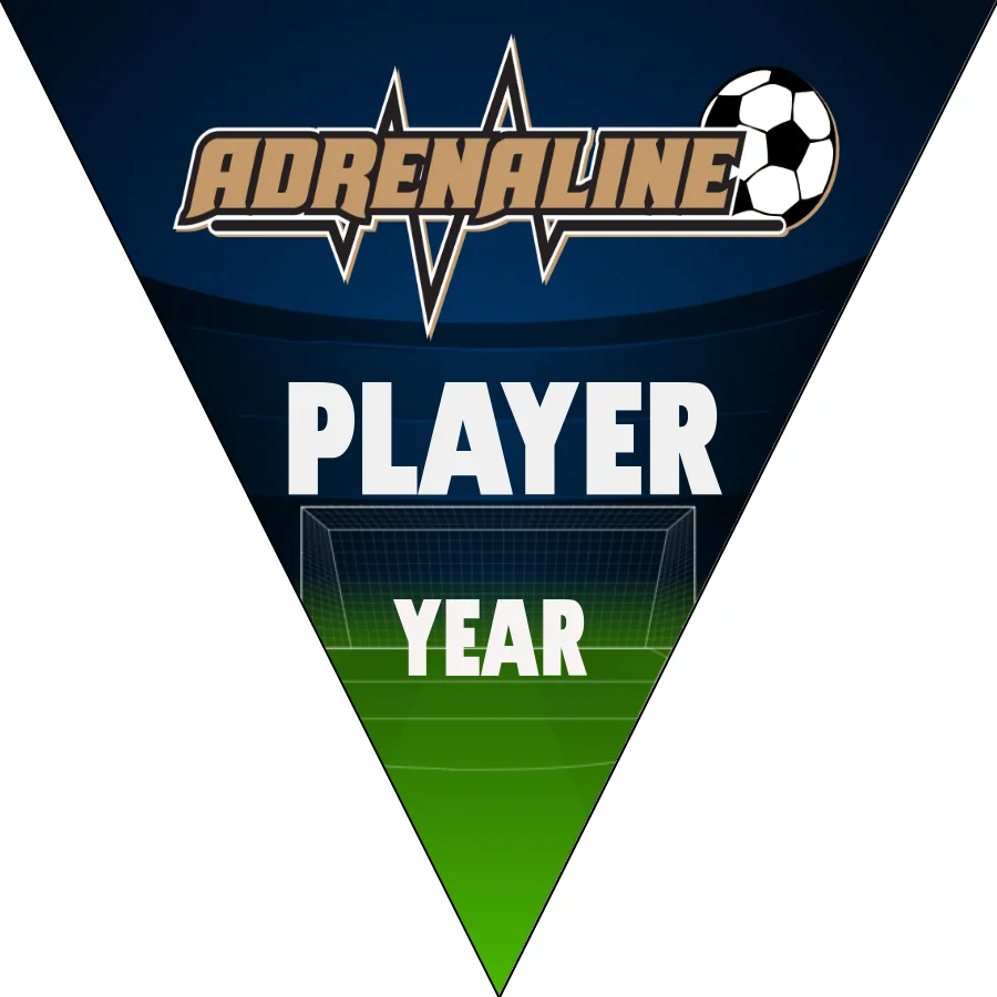 Adrenaline Soccer Banner-soccer-banners-and-flags-picture