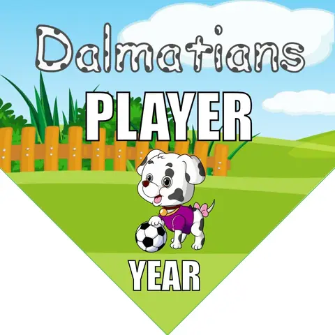 Dalmatians Soccer Banner-soccer-banners-sacramento-picture