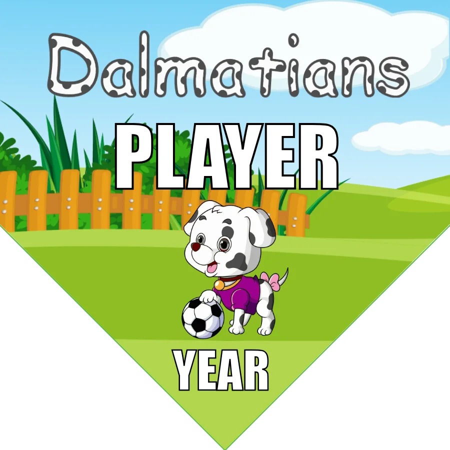 Dalmatians Soccer Banner-soccer-banners-sacramento-picture