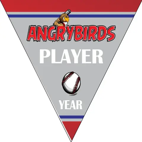 Angrybirds Baseball Banner-baseball-team-banners-ideas-images