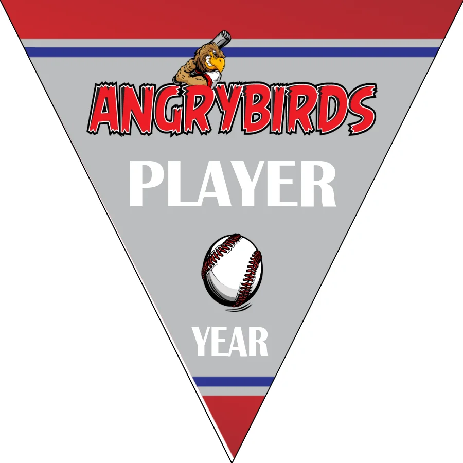 Angrybirds Baseball Banner-baseball-team-banners-ideas-images