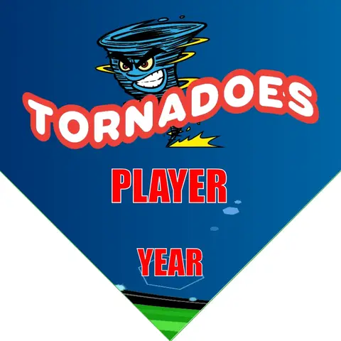 Tonardoes Soccer Banner-soccer-team-banner-picture