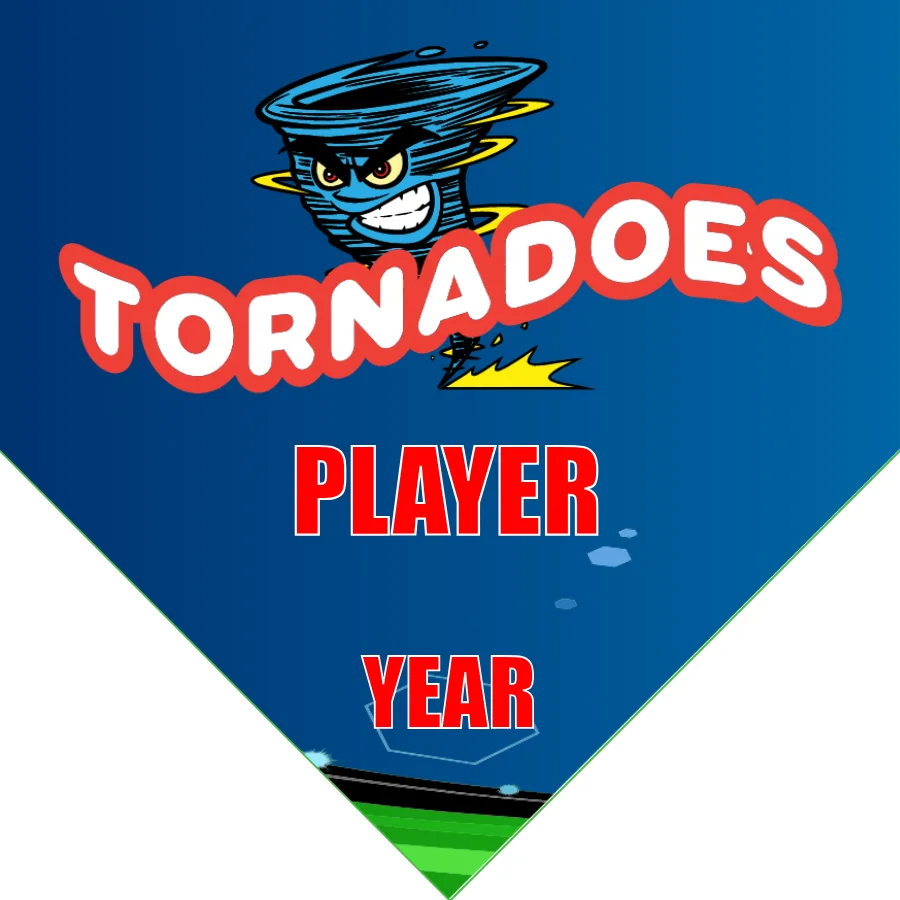 Tonardoes Soccer Banner-soccer-team-banner-picture