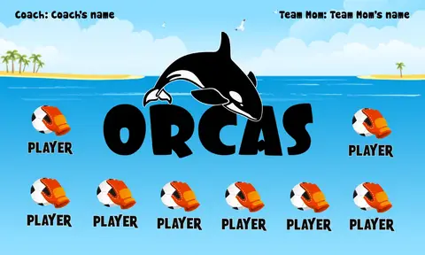 Orcas Soccer Banner-nike-soccer-banner-picture