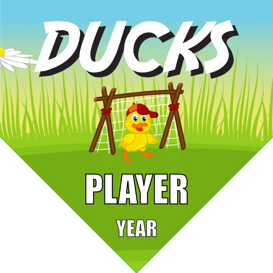 Duck 01 Soccer Banner-printable-soccer-banners-picture