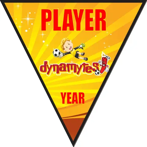 Dynamytes Soccer Banner-soccer-banner-stand-pvc-picture