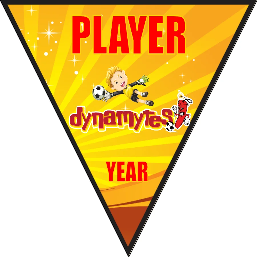 Dynamytes Soccer Banner-soccer-banner-stand-pvc-picture