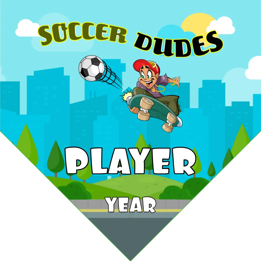 Dudes Soccer Banner-youth-soccer-banner-picture