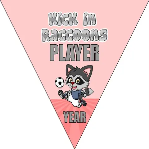 Kick In Raccoons Soccer Banner-soccer-banner-ideas-picture
