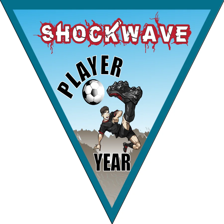 Shockwaves 2 Soccer Banner-soccer-ball-banner-picture