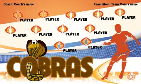 Cobras 3 Soccer Banner-soccer-banner-stand-pvc-picture