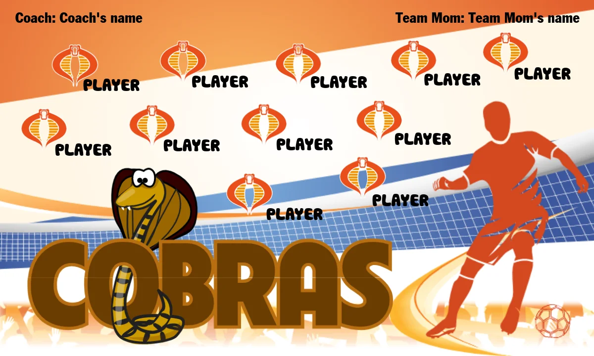 Cobras 3 Soccer Banner-soccer-banner-stand-pvc-picture