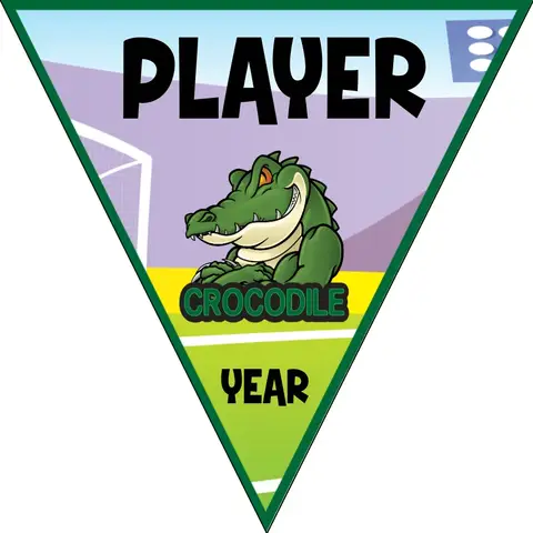 Crocodile Soccer Banner-soccer-banner-pictures-picture