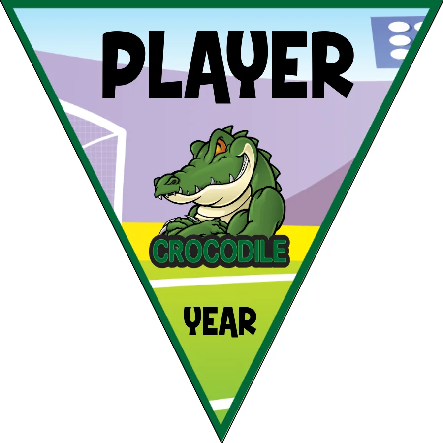 Crocodile Soccer Banner-soccer-banner-pictures-picture
