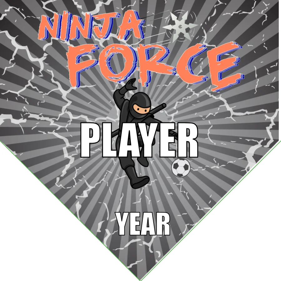 Ninja Force Soccer Banner-soccer-team-banner-picture