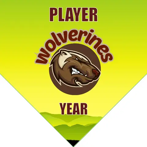 Wolverines Soccer Banner-soccer-team-banner-picture