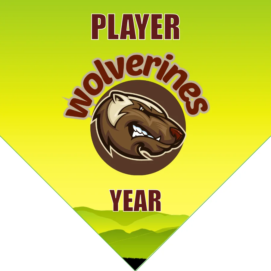 Wolverines Soccer Banner-soccer-team-banner-picture