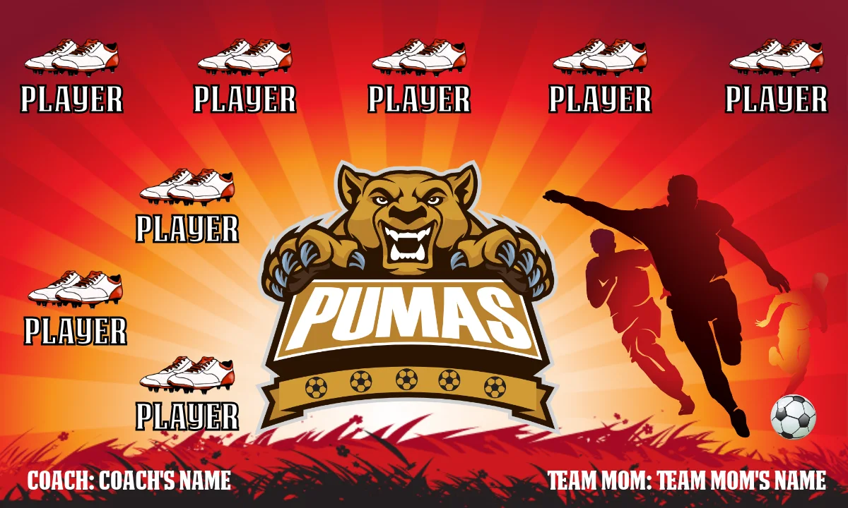 Pumas 1 Soccer Banner-italian-soccer-banners-picture