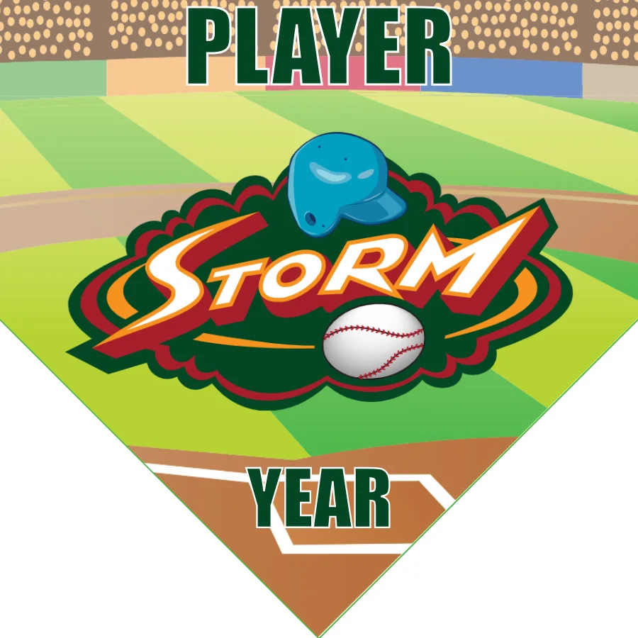 Storm 1-orange-green-home-softball-banner-gallery-picture