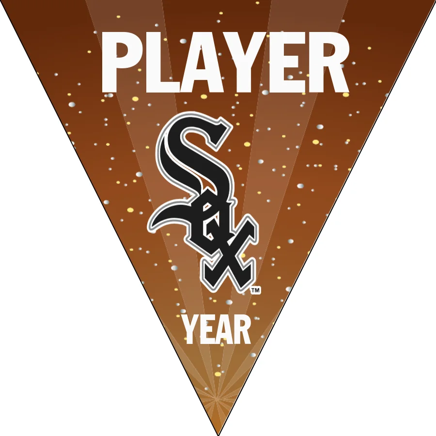White Sox 2 Baseball Banner-custom-baseball-photo-banners-images