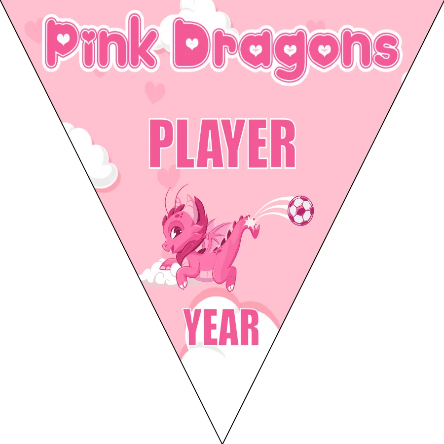 Pink Dragons Soccer Banner-soccer-banners-picture