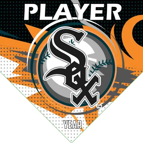 Chicago White Sox Baseball Banner-baseball-high-chair-banner-images