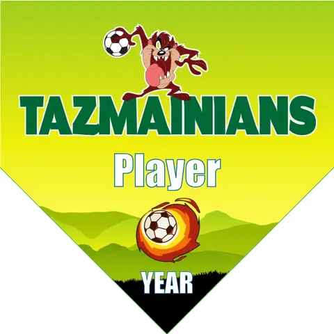Tazmainians Soccer Banner-soccer-banners-near-me-picture