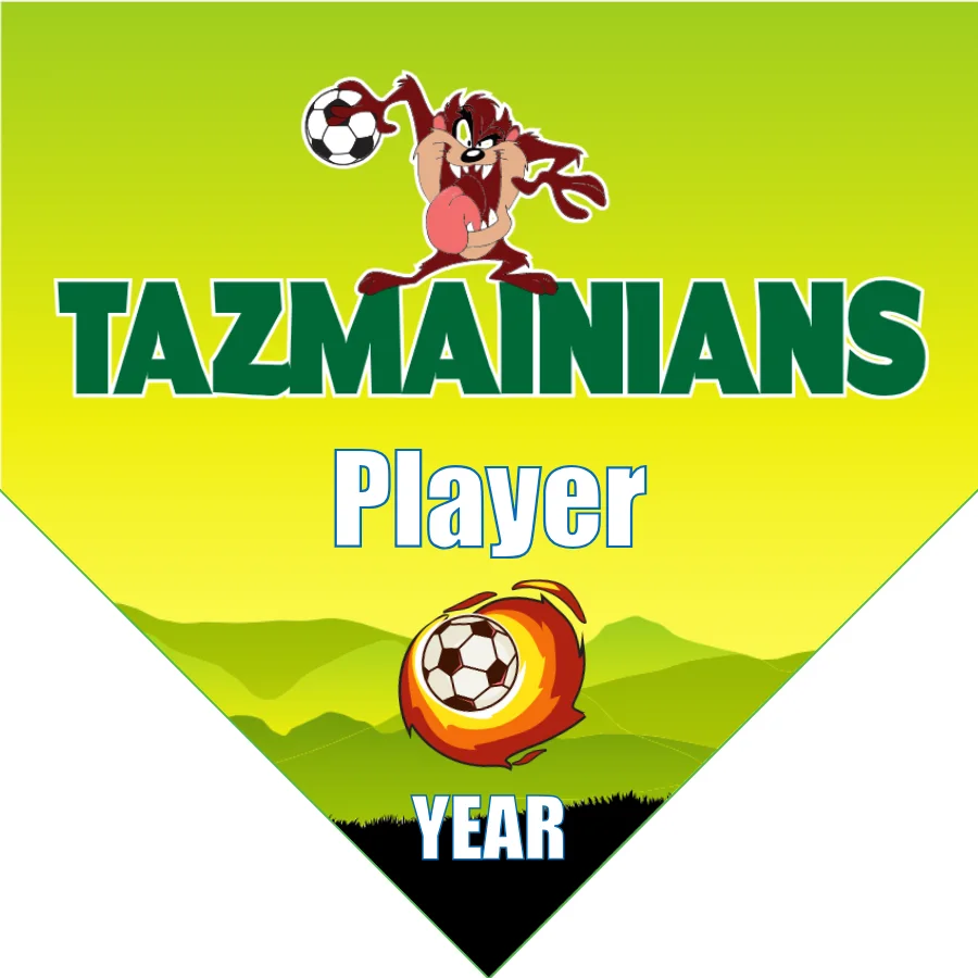 Tazmainians Soccer Banner-soccer-banners-near-me-picture