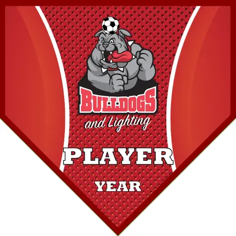 Bulldogs 2 Soccer Banner-soccer-banner-dragons-picture