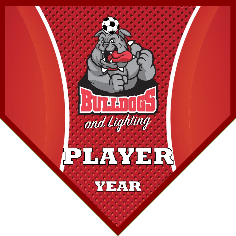 Bulldogs 2 Soccer Banner-soccer-banner-dragons-picture