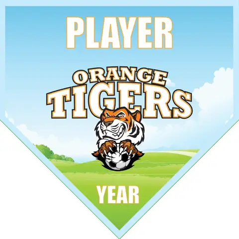 OrangeTigers Soccer Banner-soccer-banners-near-me-picture