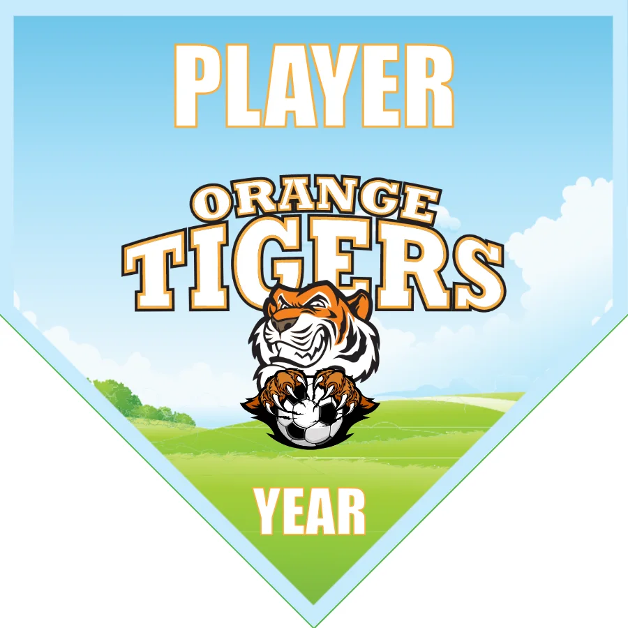 OrangeTigers Soccer Banner-soccer-banners-near-me-picture