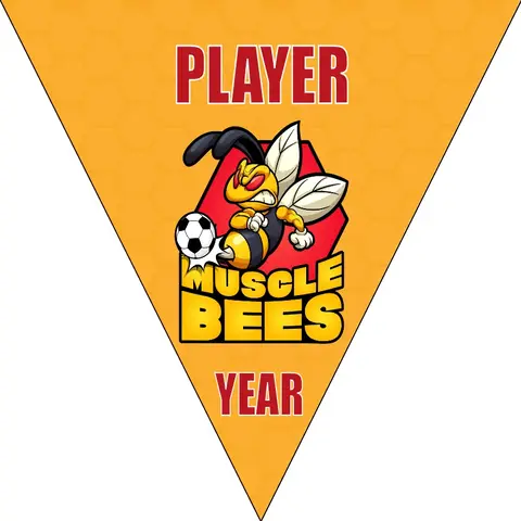 Muscle Bees Soccer Banner-soccer-banners-ideas-picture