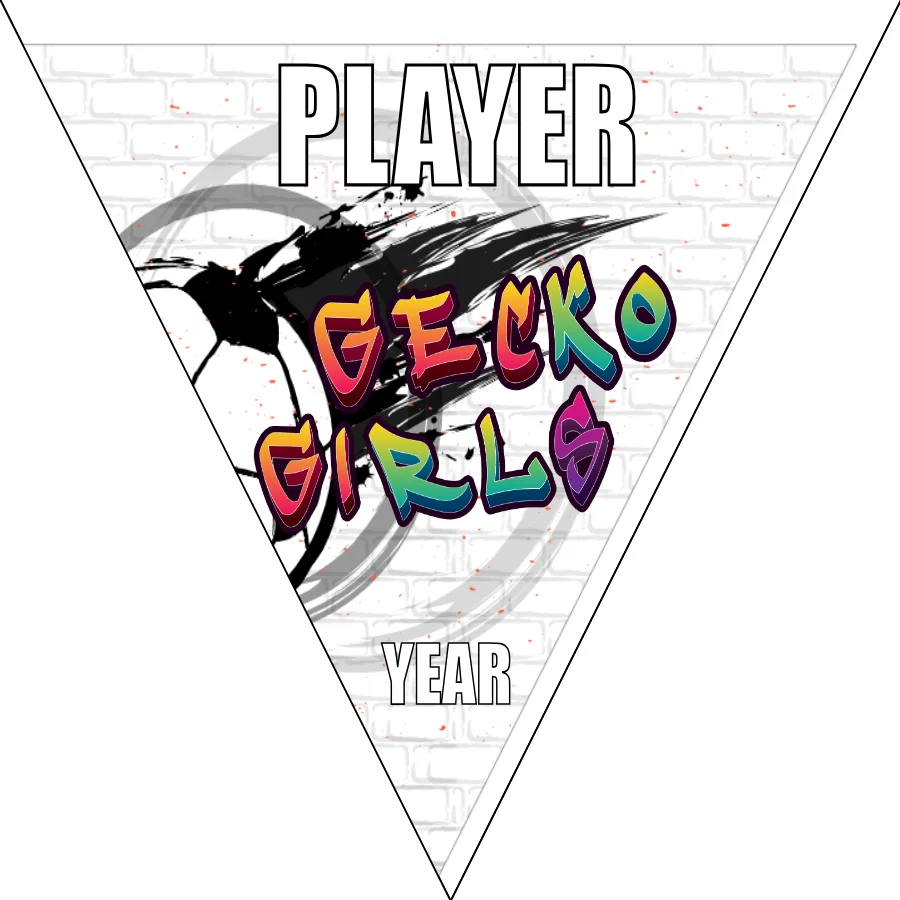Gecko Girls Soccer Banner-soccer-banners-for-sale-picture